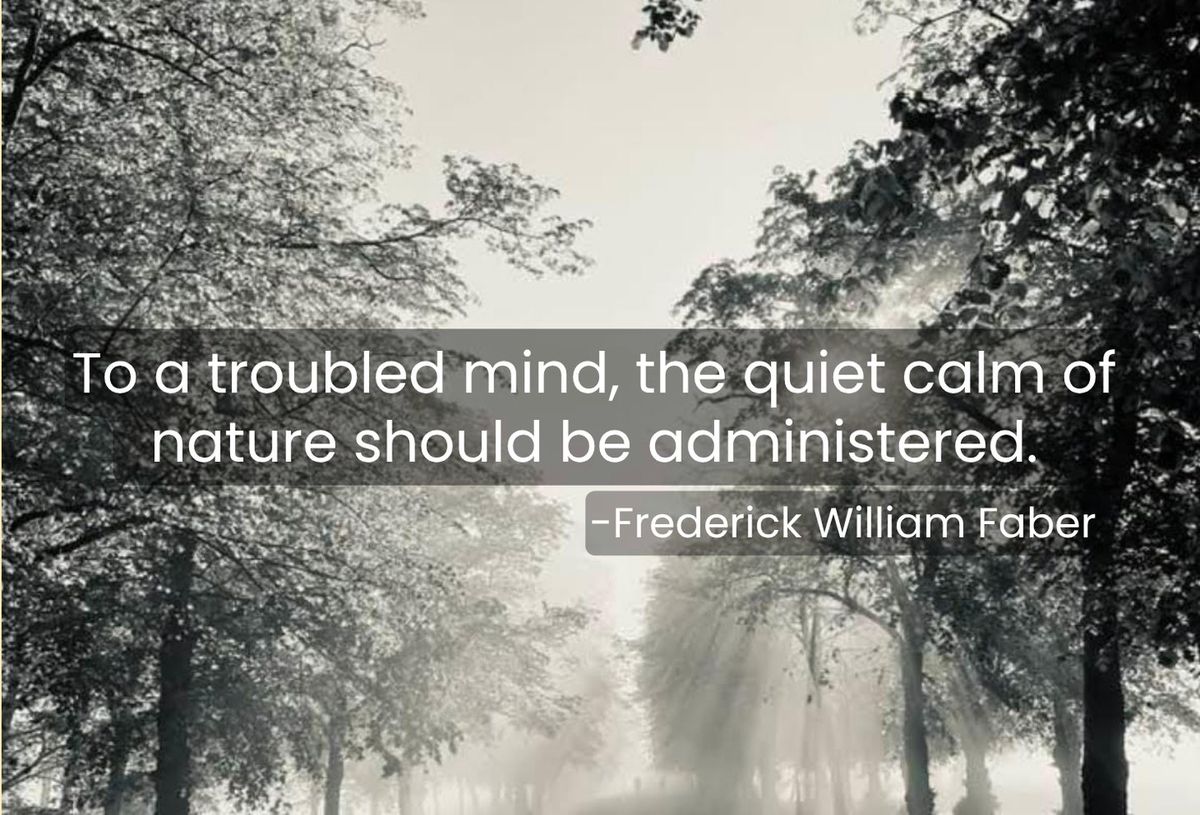 Card front: a black and white misty avenue of trees. Text reads: To a troubled mind, the quiet calm of nature should be administered. Frederick William Faber.