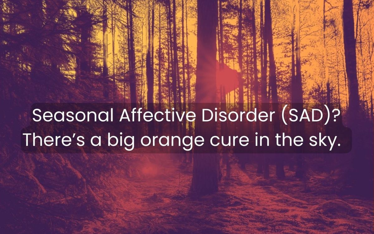 Card front: orange duotone forest at sunset. Text reads: Seasonal Affective Disorder (SAD)? There's a big orange cure in the sky.