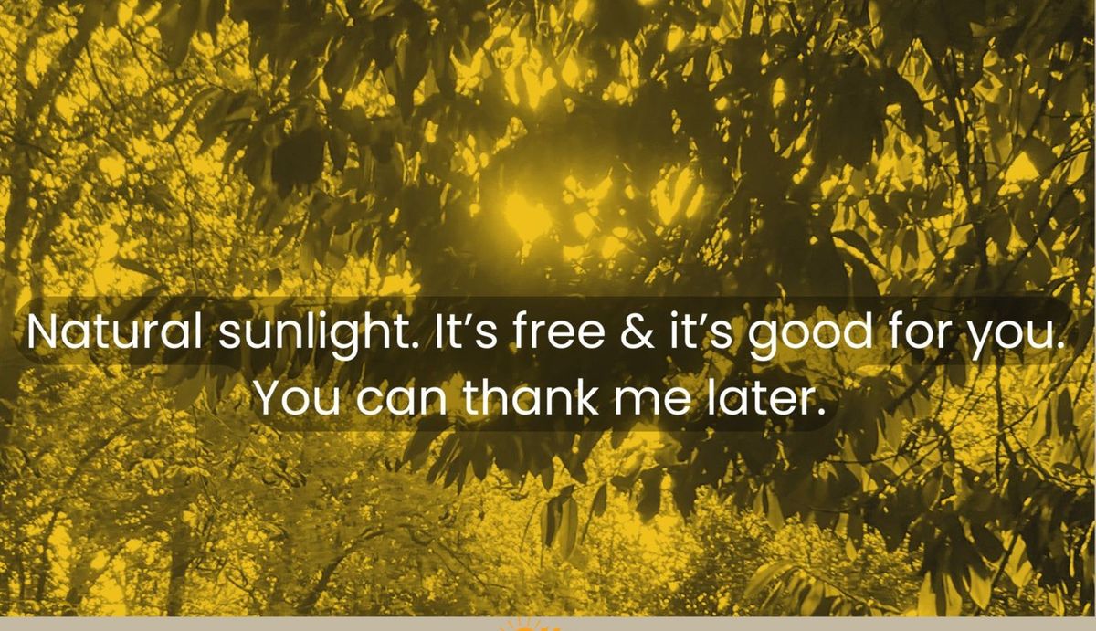 Card front: yellow duotone leaves in sunlight. Text reads: Natural sunlight. It's free & it's good for you. You can thank me later.